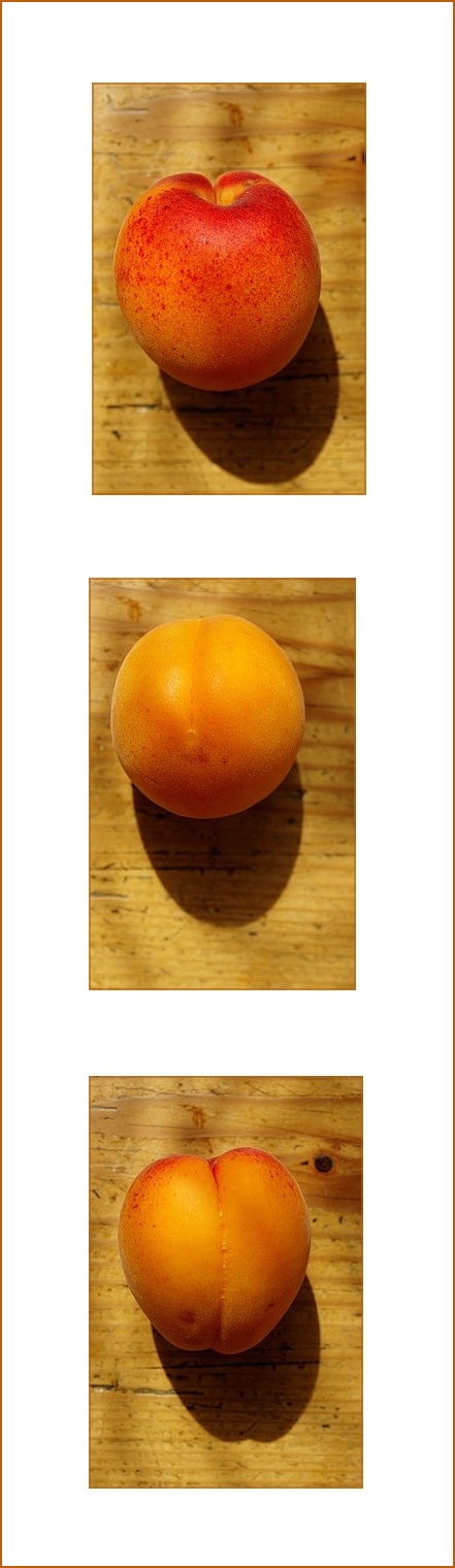 tryptiqueabricotentier