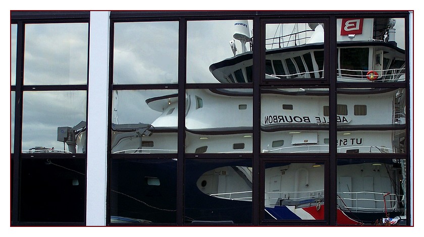 abeillebourbonphotodetom