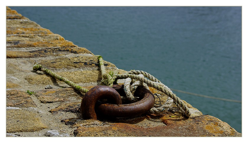 anneaucordepointed'armorique2