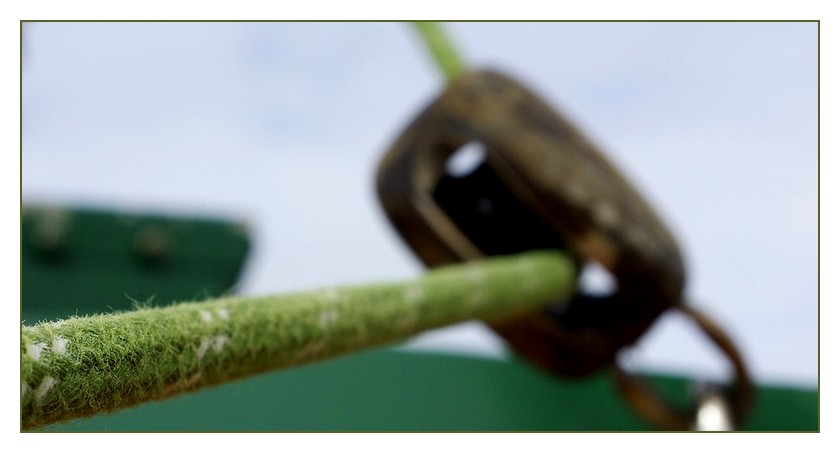 netflou cordage vert