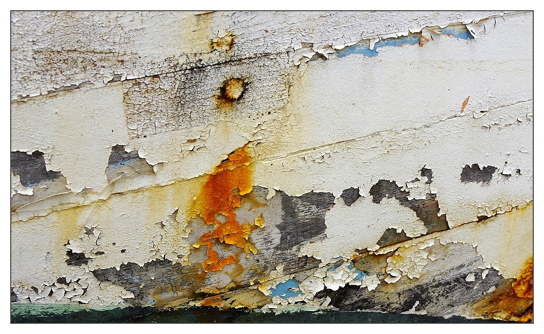 coqueblanche4guirnivit