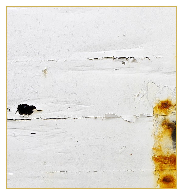 coqueblanche3guirnivit