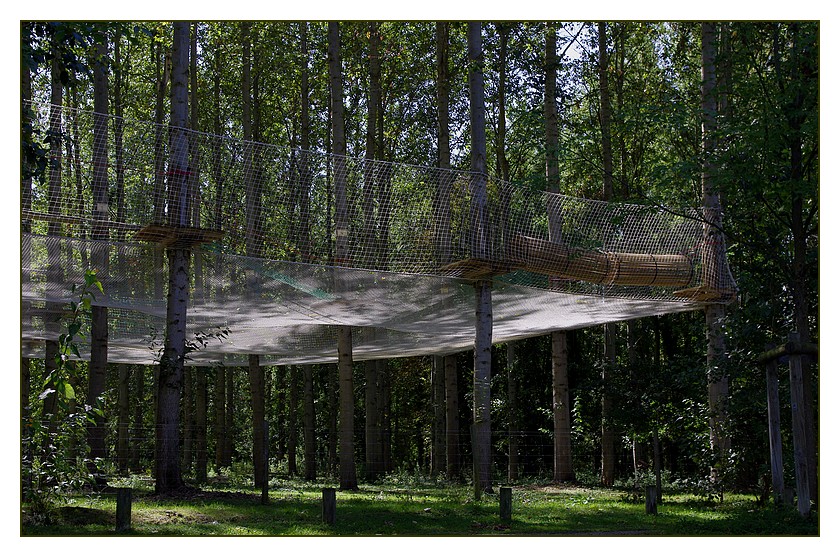 parcours accrobranche02