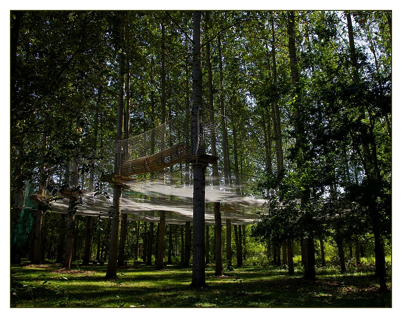 parcoursaccrobranche05