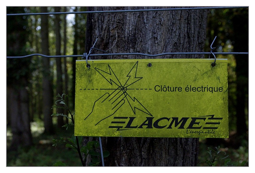 grillage électrique BA de Loisirs accobranche 05