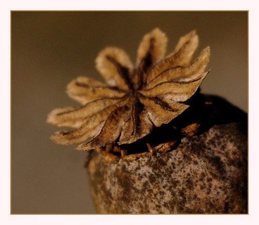 chapeau couleurs d'automne
