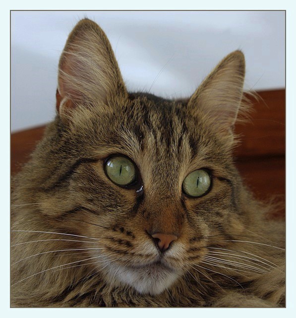 Anaximandre sur le lit - douceur d'un instant...