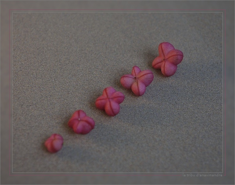 chapeau d'évêque 02cadre