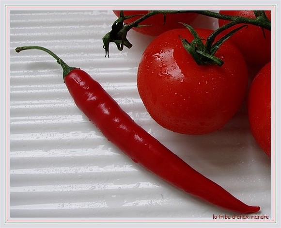 poivron et tomates 