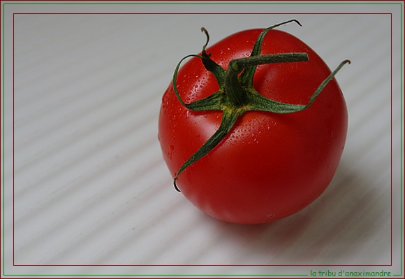 tomate seule
