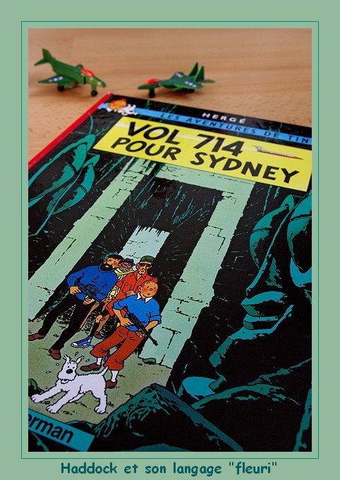 accès au langage fleuri du capitaine