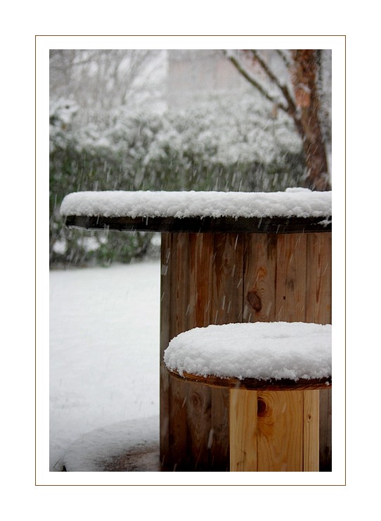 neige au jardin 001
