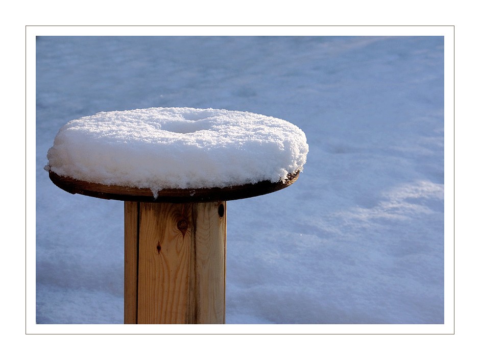 neige au jardin 0002