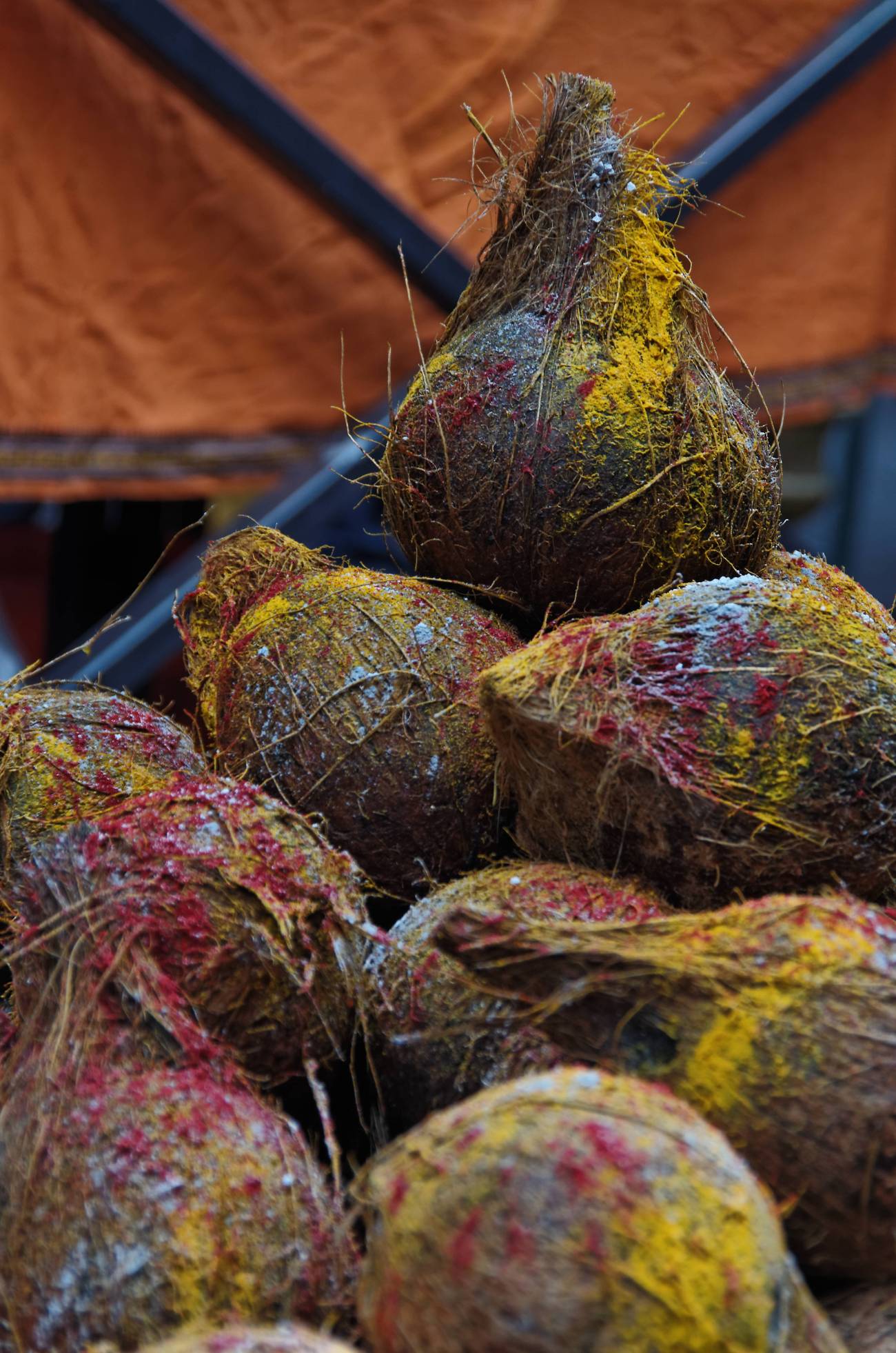 noix de coco fête de ganesh