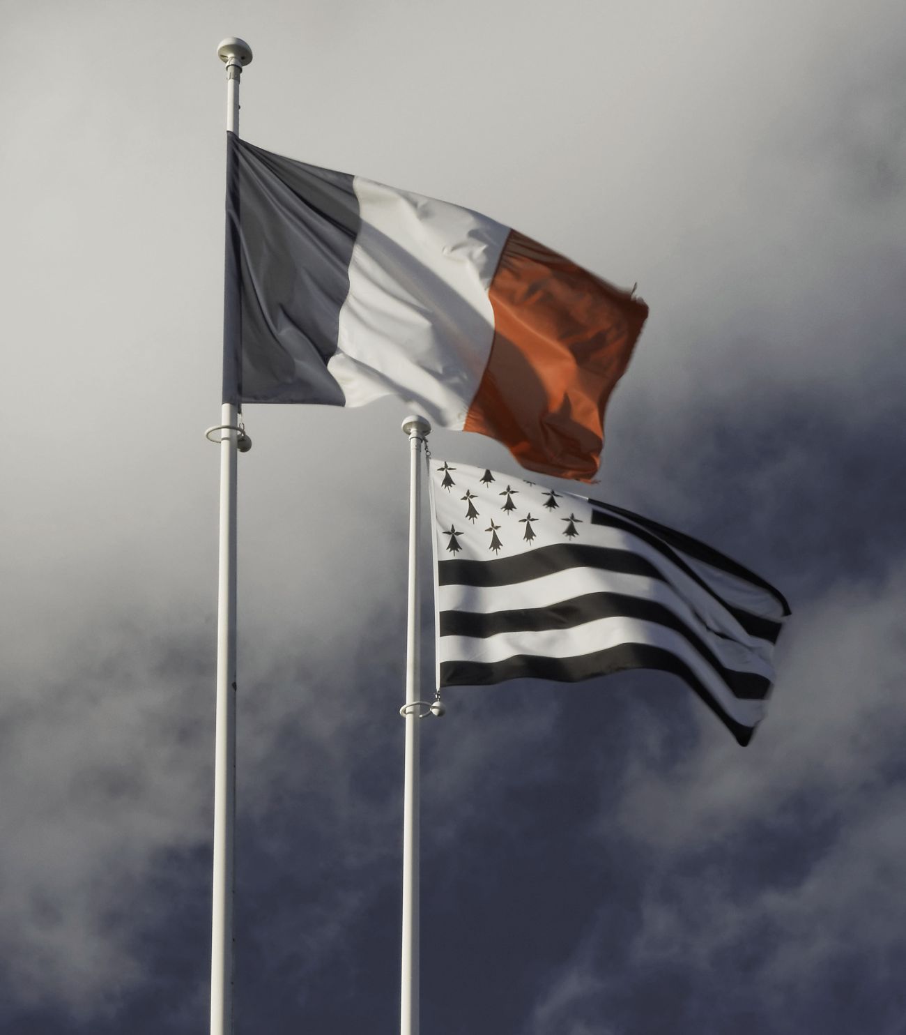 IMGP6225_drapeau français et gwen a du poudreuse