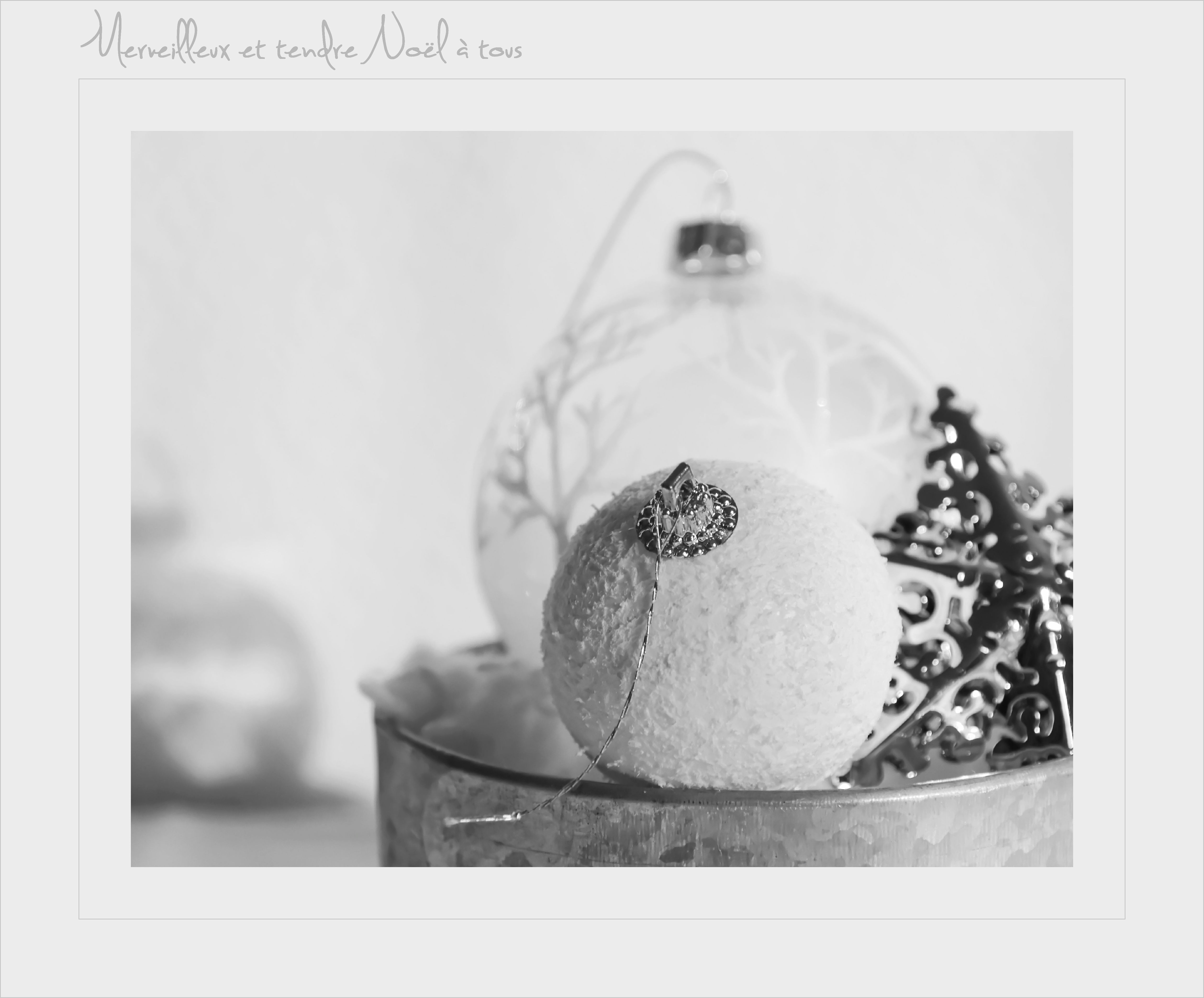 noel 2012 boule étoile poudreuse IMGP7783_noel 2012 boule étoile poudreuse