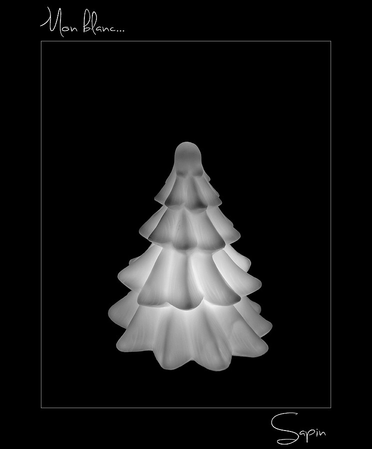 IMGP7937_DxO_DxOFP N&B