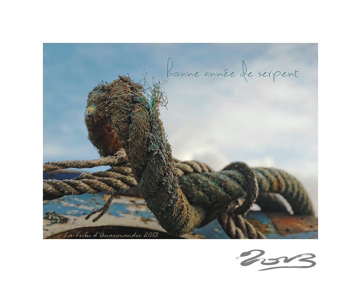 IMGP8208gke100 note rouge La Tribu d'Anaximandre - Danièle Nguyen Duc Long