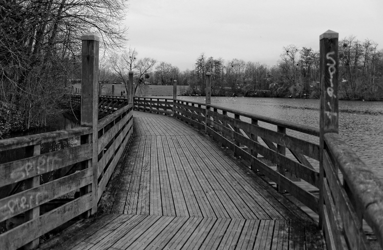 IMGP9458_DxO_n&b id100