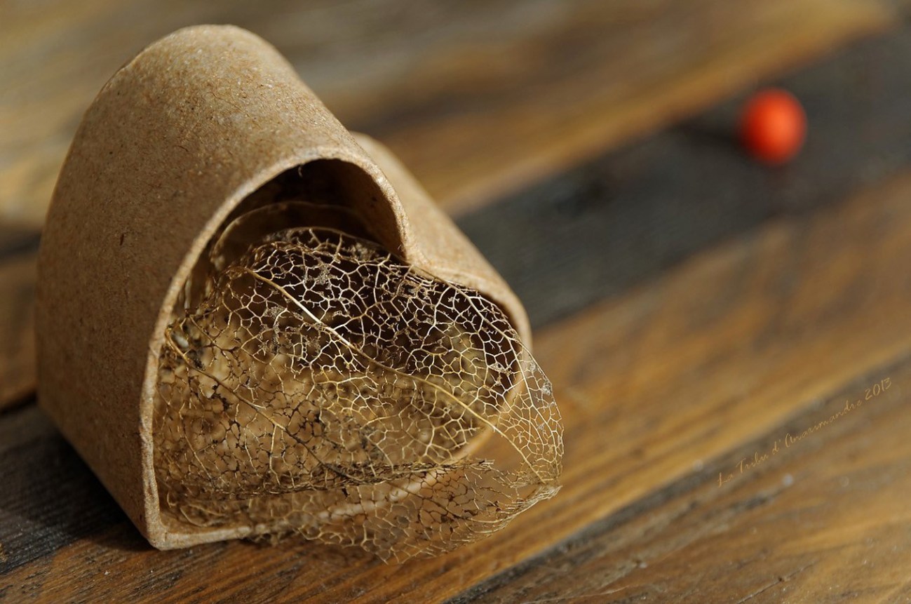 IMGP9577_DxO - La Tribu d'Anaximandre - Danièle Nguyen Duc Long