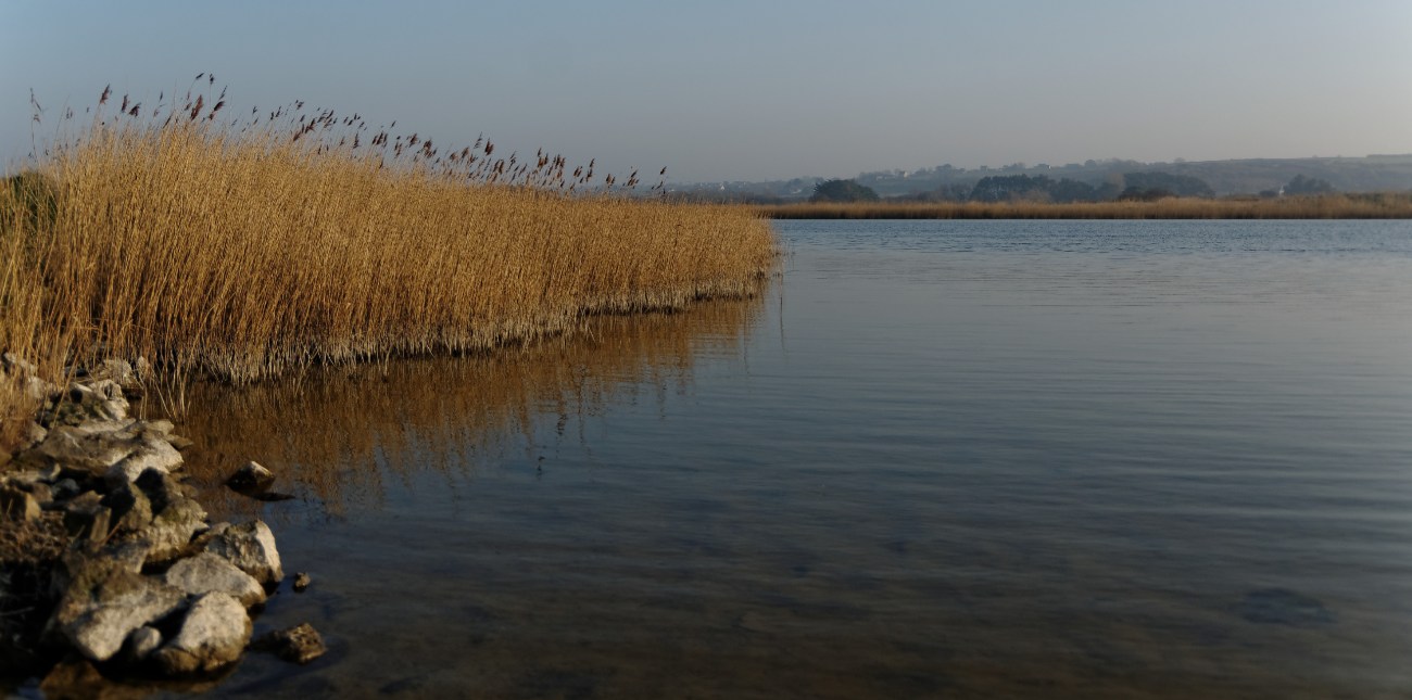 Etang du Curnic, Guissényssur mer
