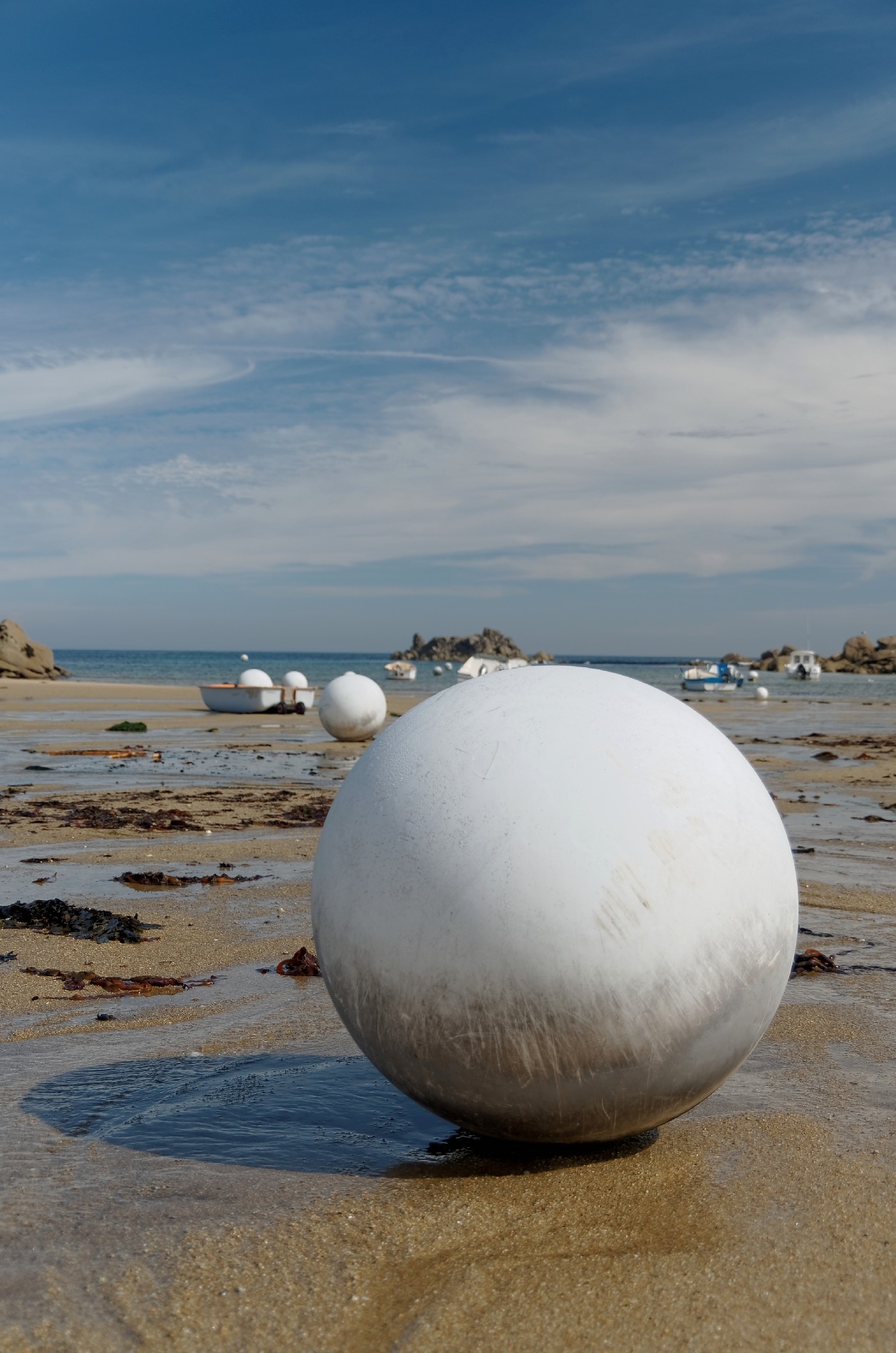 IMGP2810DxO impression