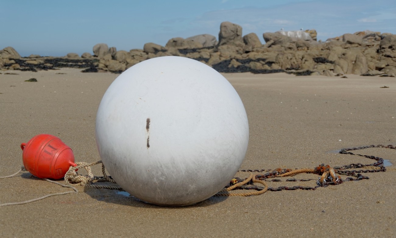 IMGP2815DxO impression