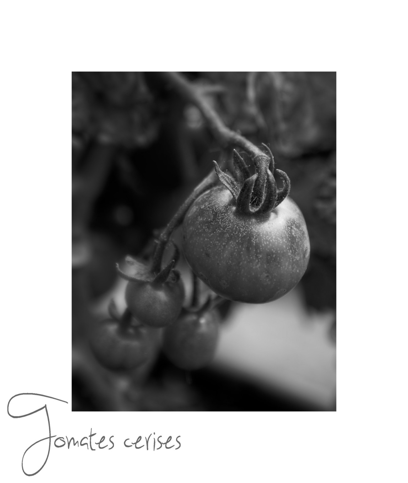 IMGP3777DxO impression_DxOFP