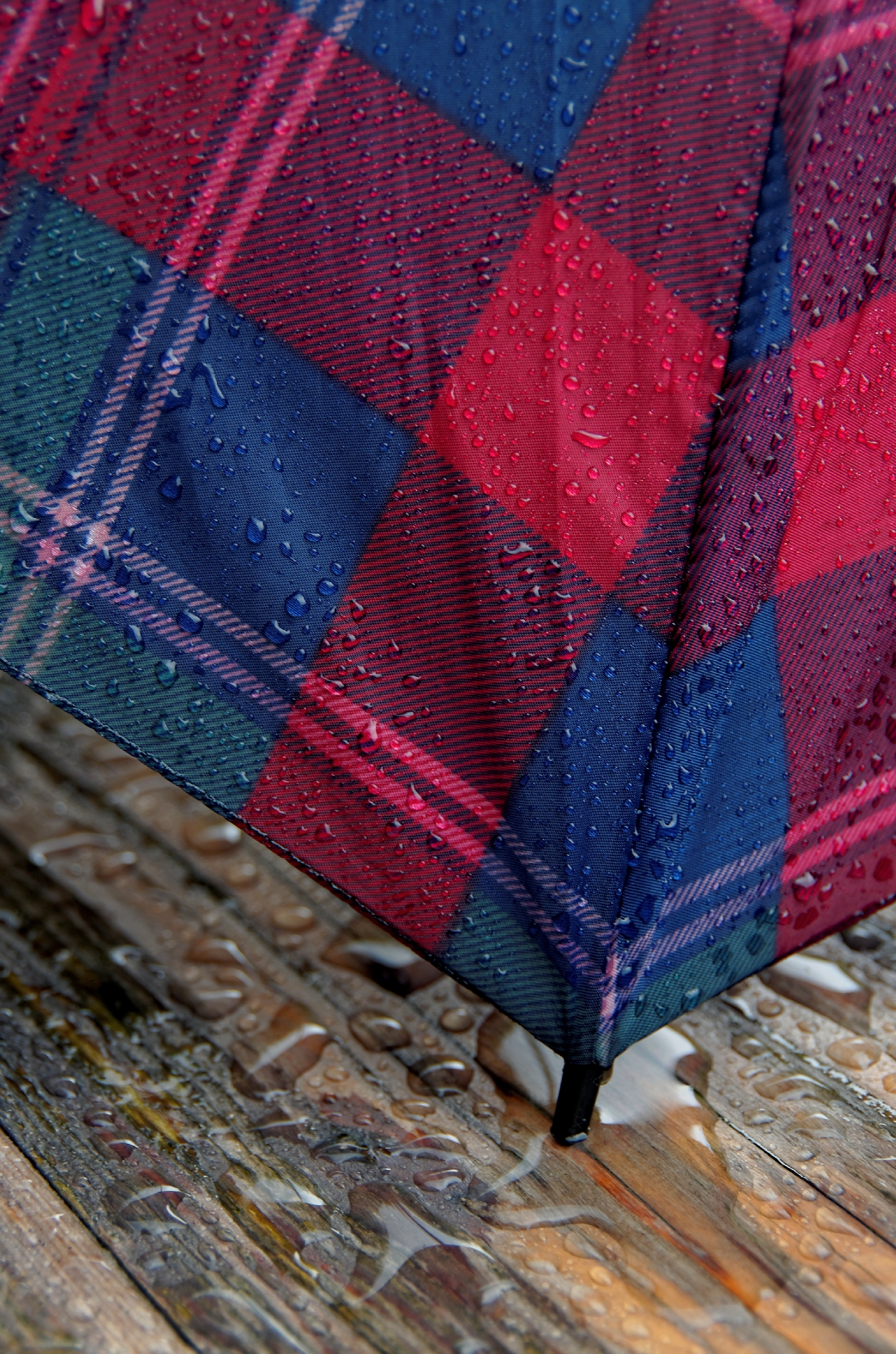 pluie, parapluie, photos