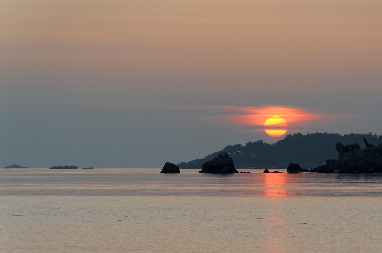 IMGP4608DxO impression