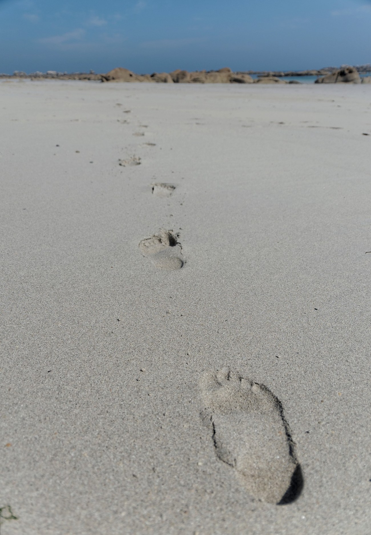 IMGP4638DxO impression