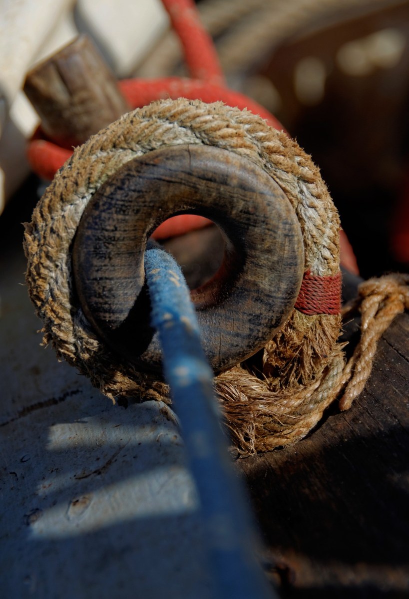 IMGP5433DxO impression