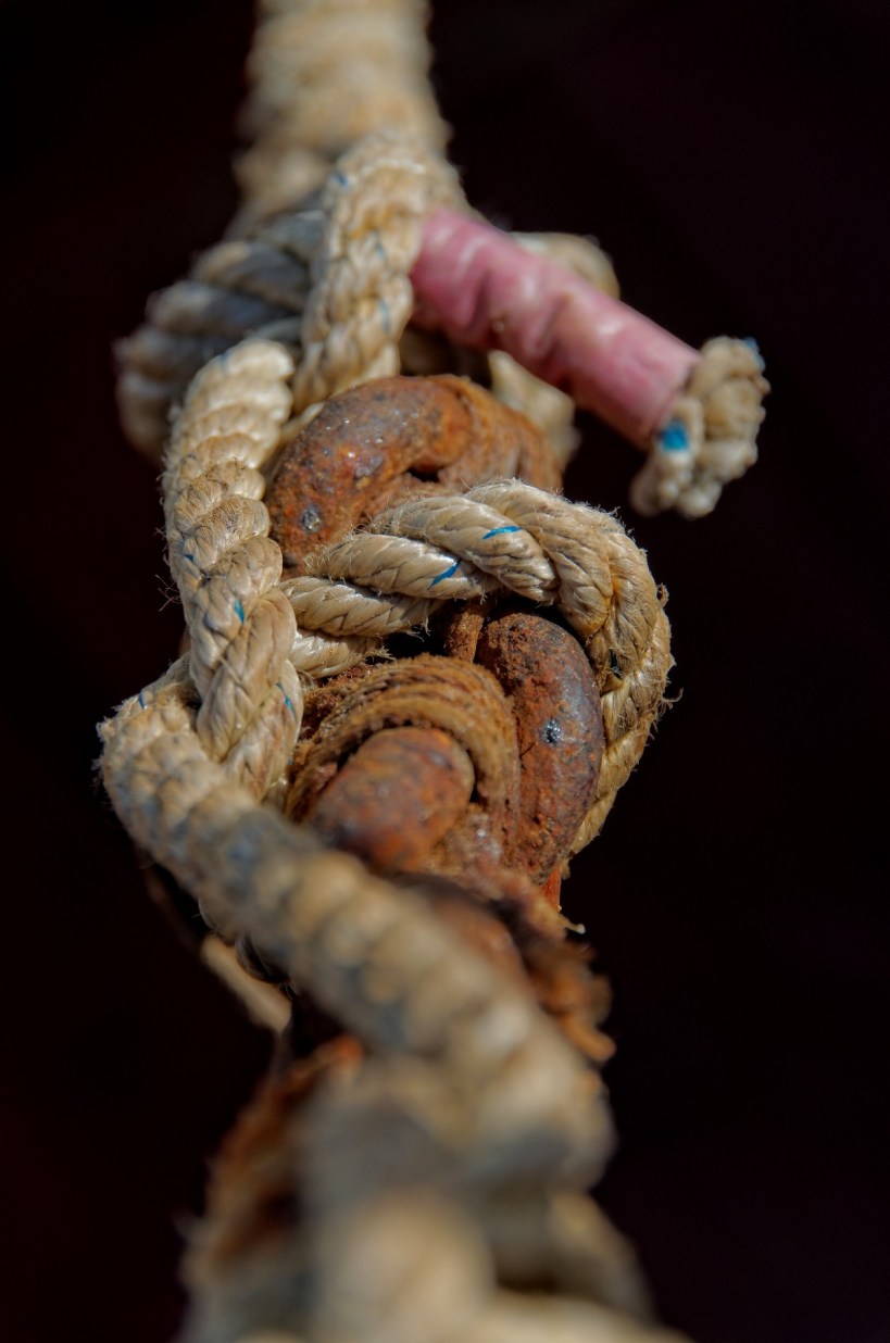 IMGP5435DxO impression