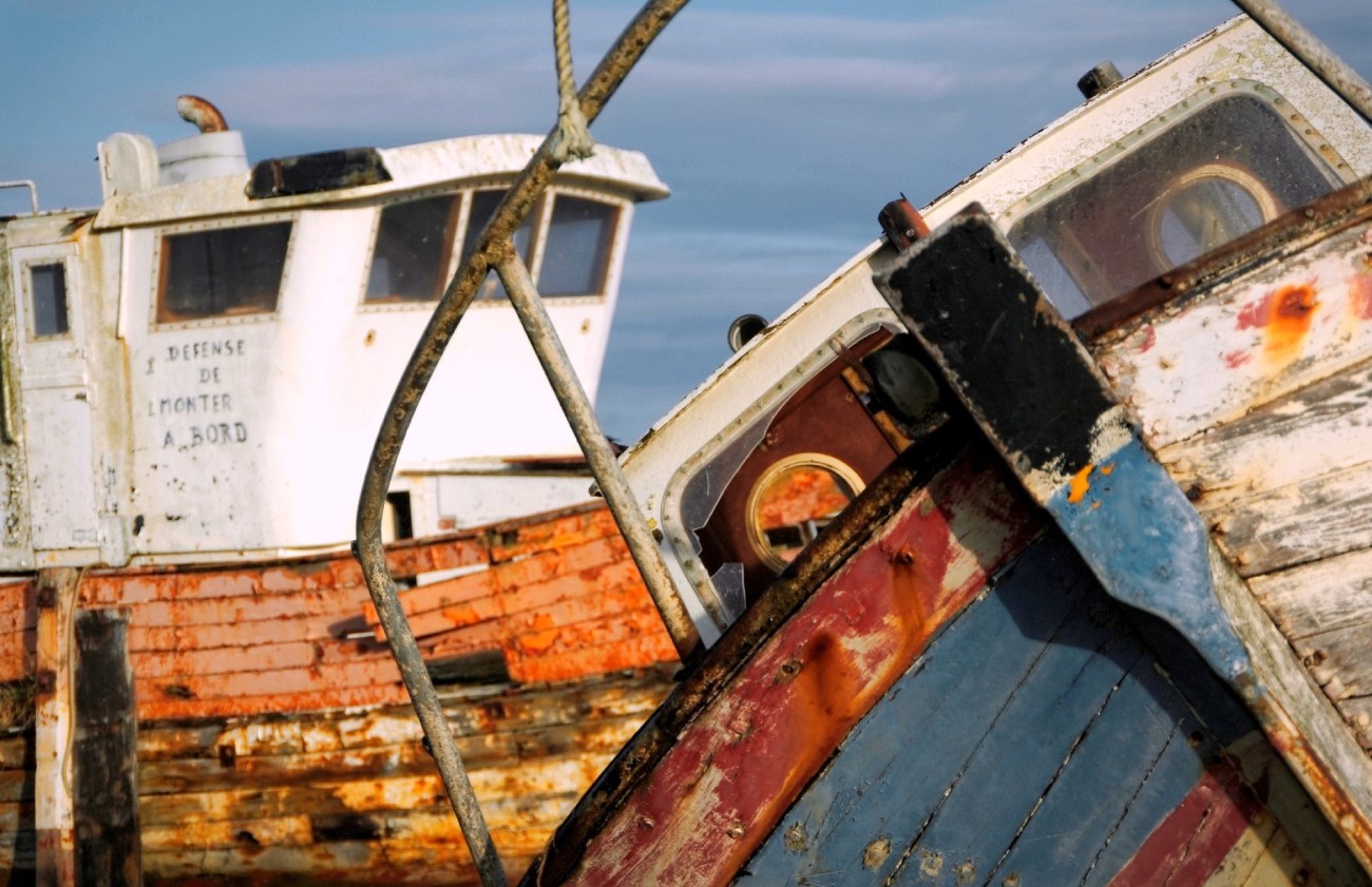 IMGP5017DxO impression_DxOFP1