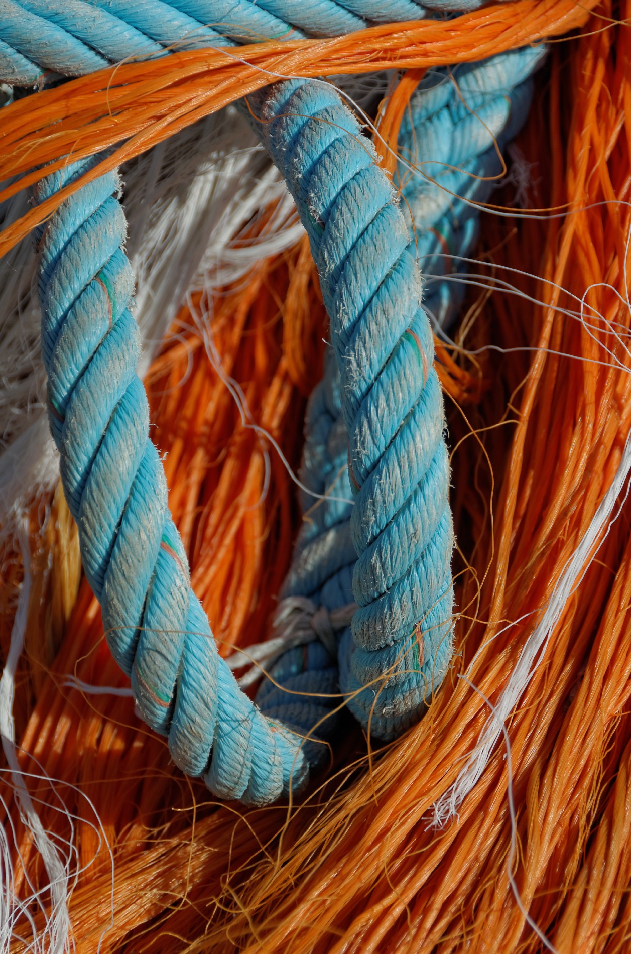 IMGP5621DxO impression