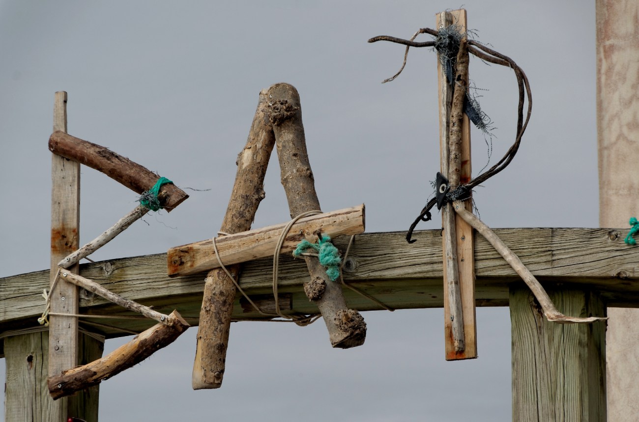 IMGP5877DxO impression