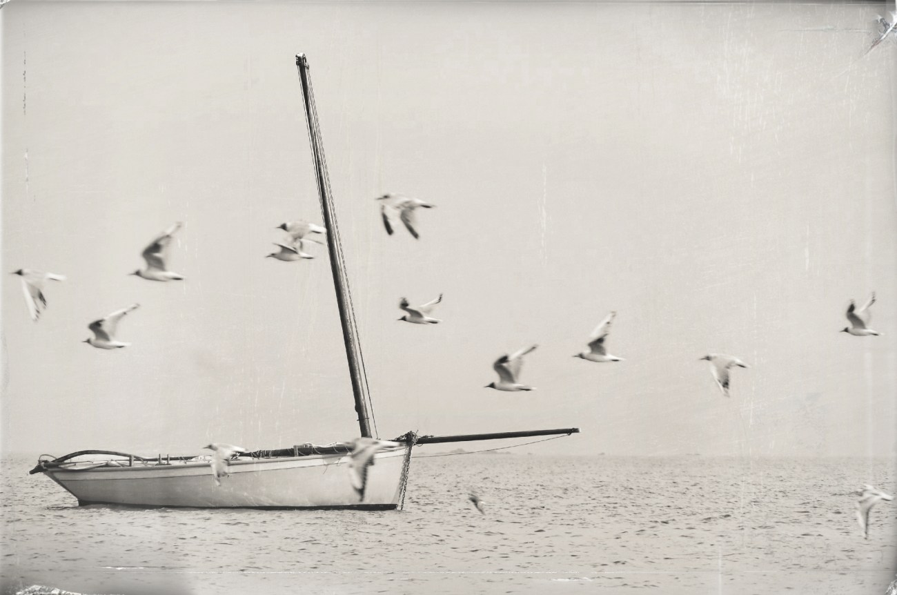 IMGP4894DxO impression_DxOFPcontre-sesns N&B