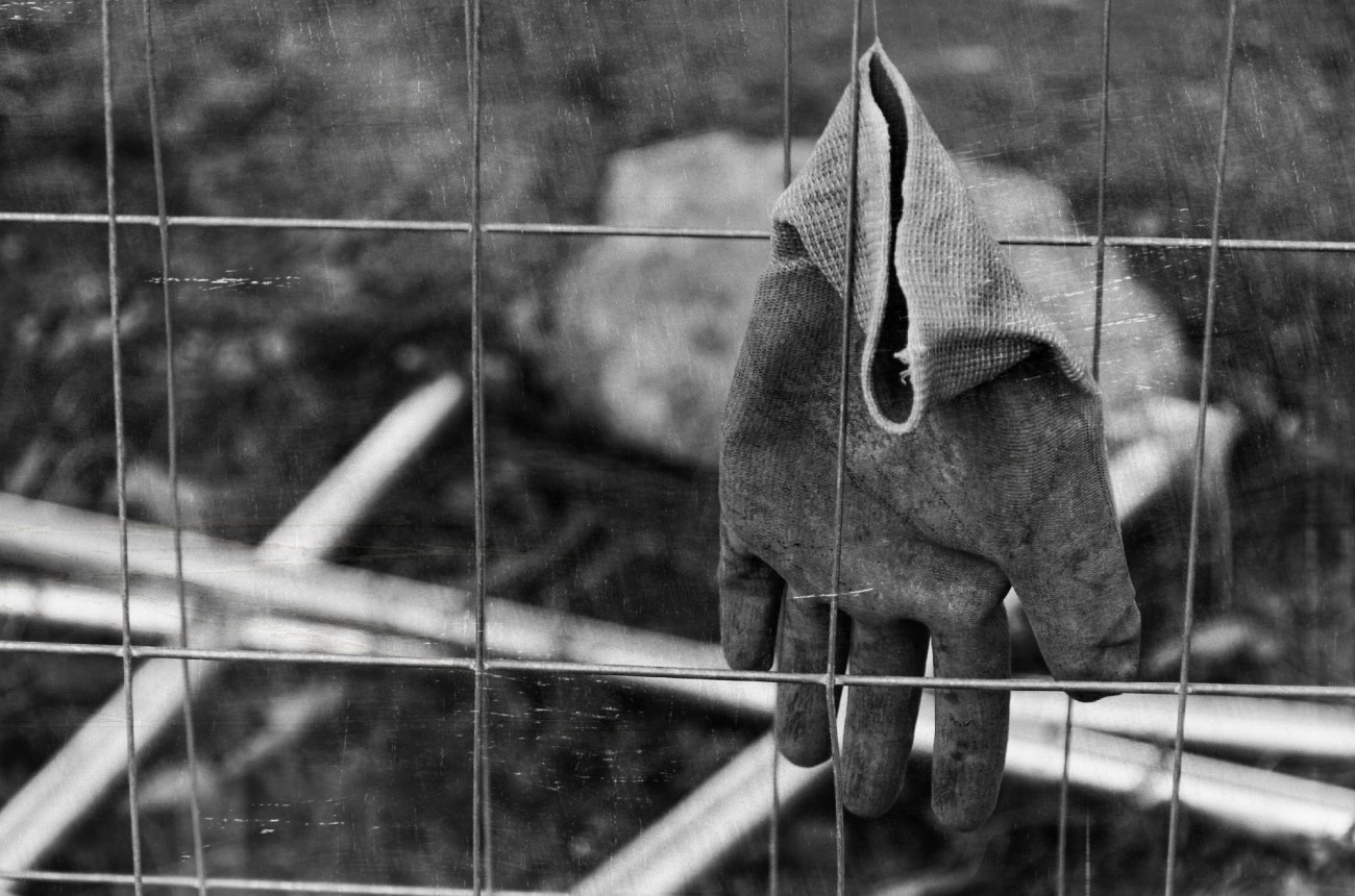 IMGP6234DxO impression_DxOFP n&bktmax3200