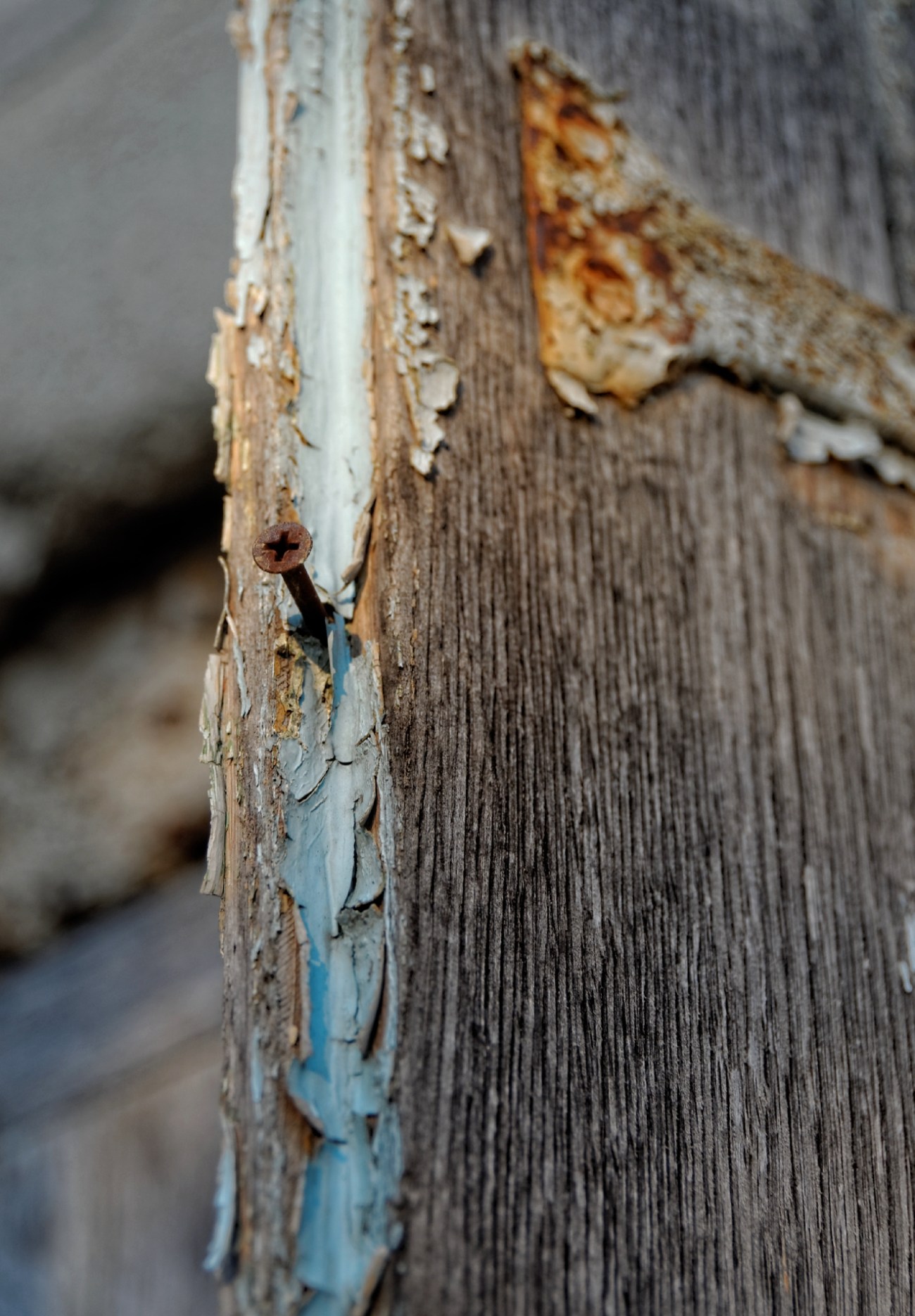 IMGP6745DxO impression