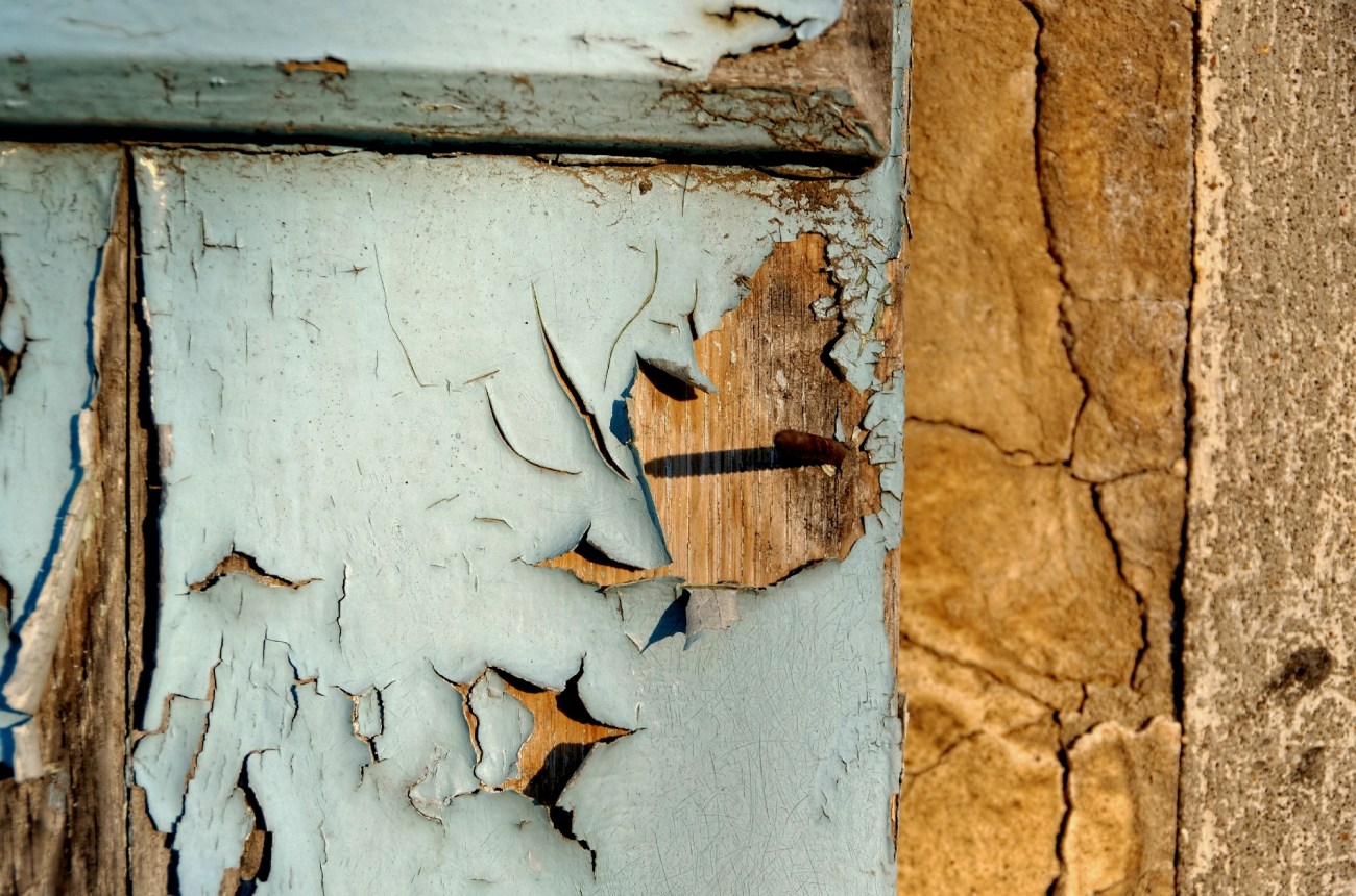 IMGP6747DxO impression