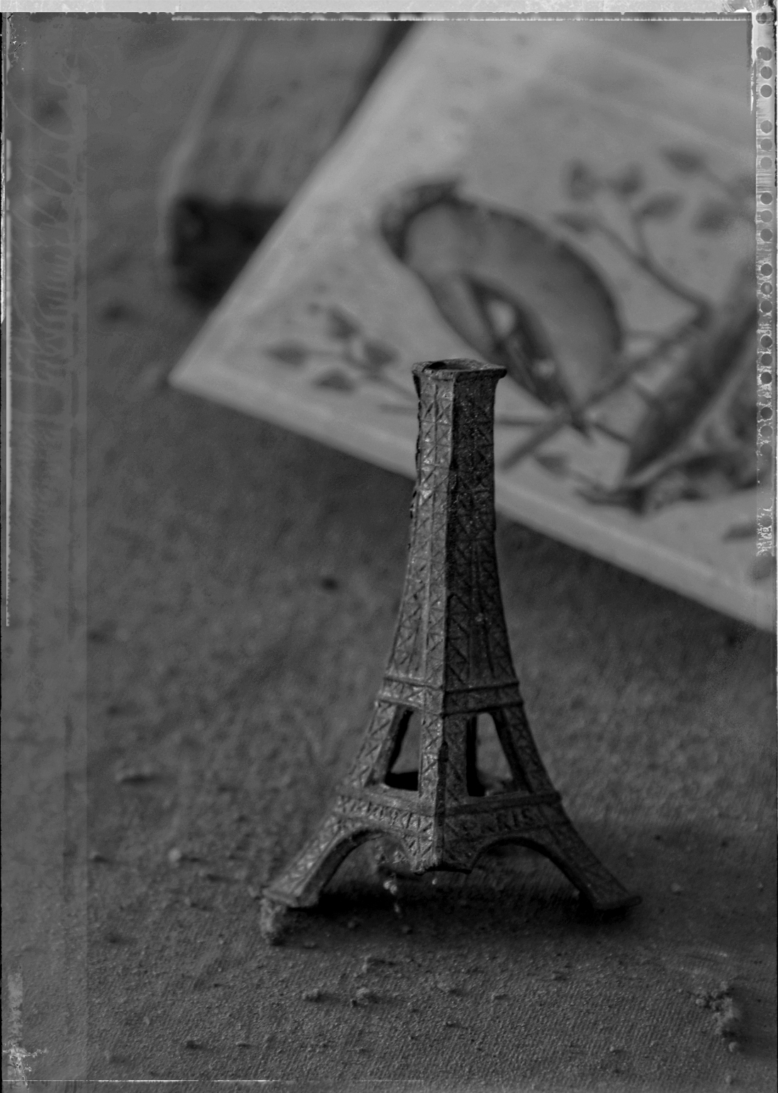 IMGP6865DxO impression_DxOVP_DxOFP