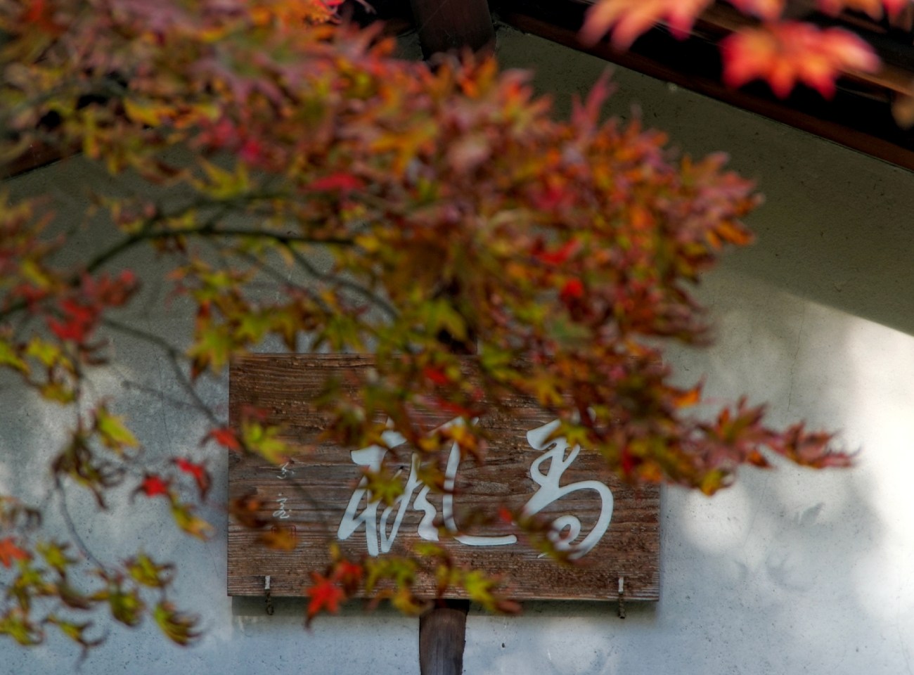 Paris, Jardin Albert Kahn, jardin japonais, rouge, automne, 
