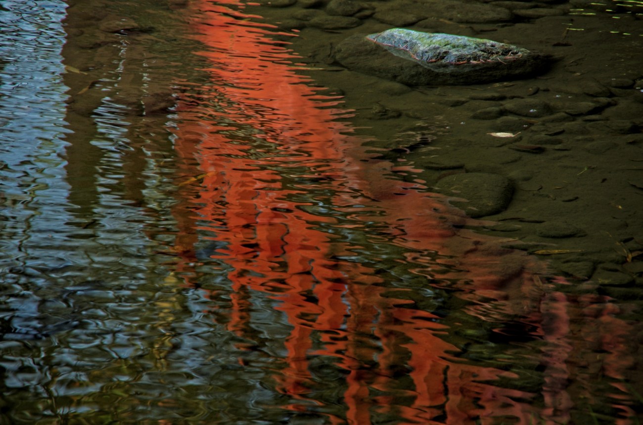 Pont japonais, jardin japonais Albert Kahn, Boulogne, reflets,