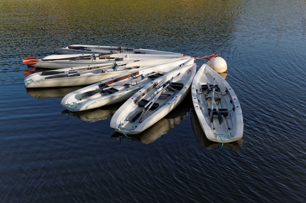 IMGP1353_DxO pour blog