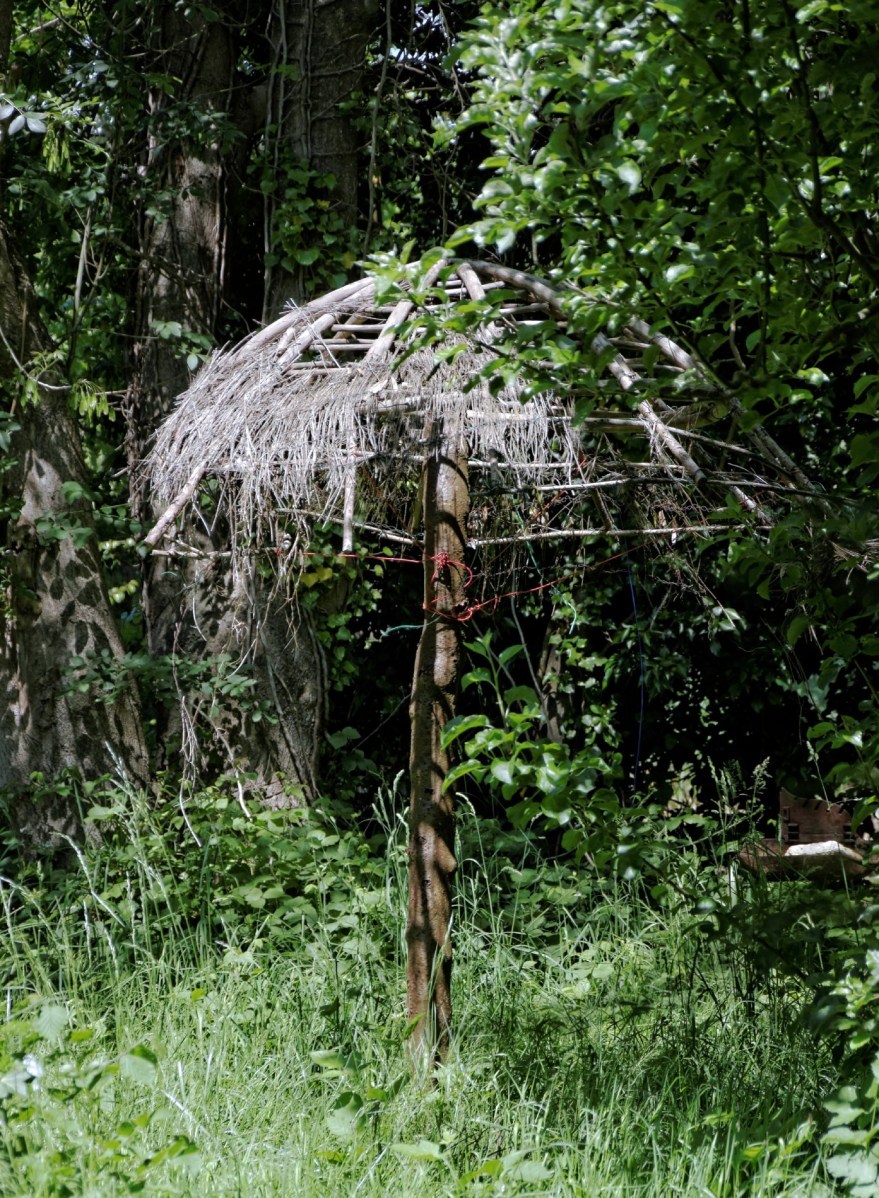 parasol, étangs de Baulne, essonne