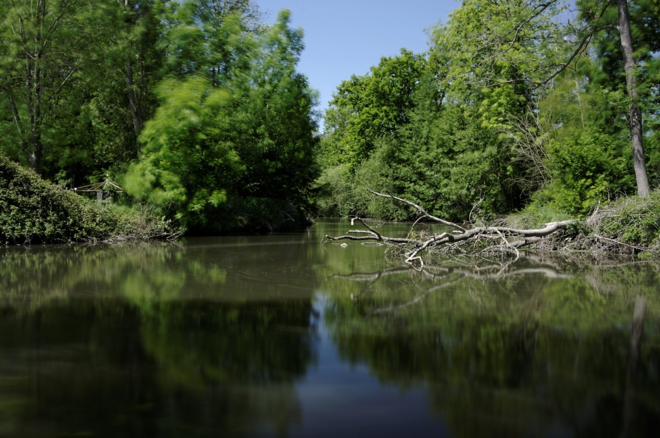 étangs de Baulne, pose longue, essonne, 