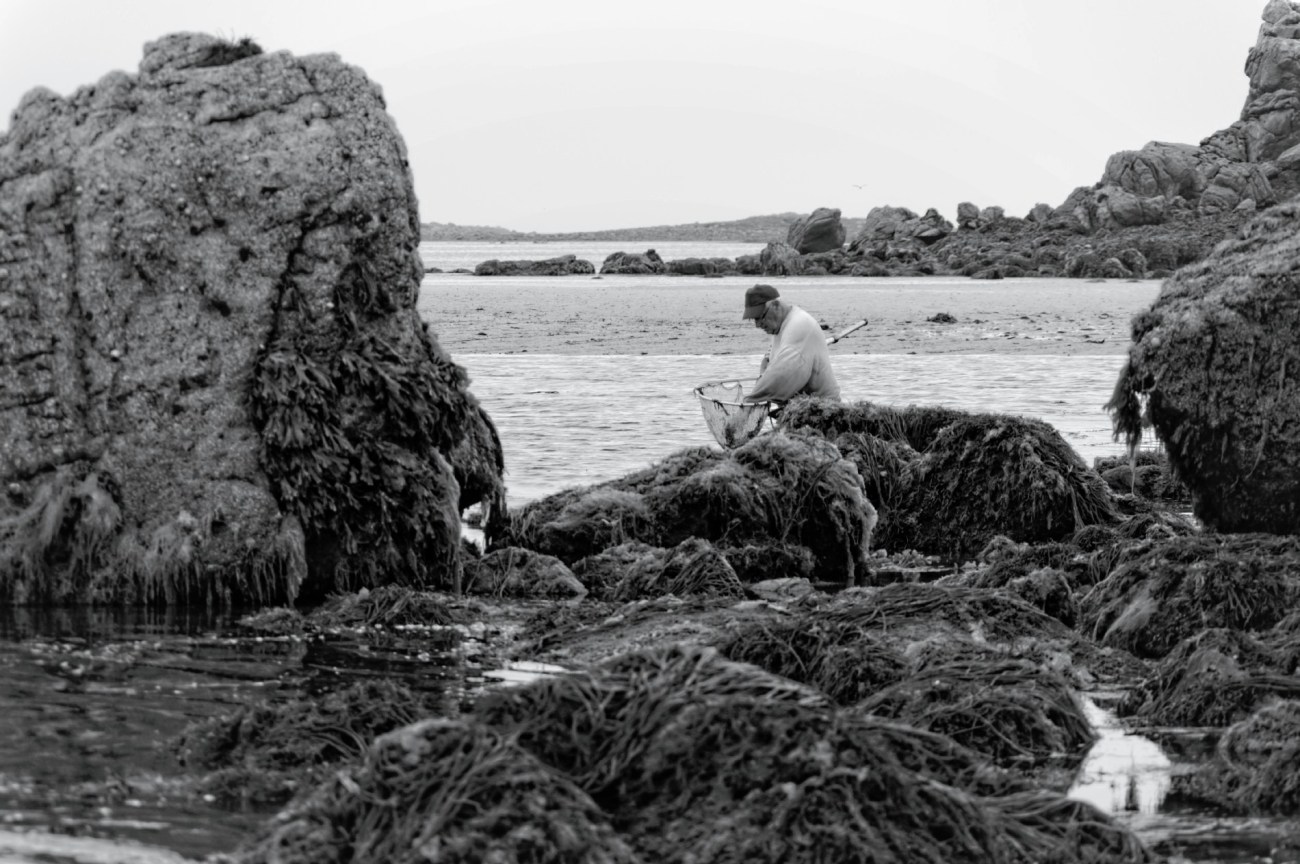 phare de l'île vierge, brume, Lilia, finistère, bretagne, noir et blanc, pêche à pied, pêche à la crevette