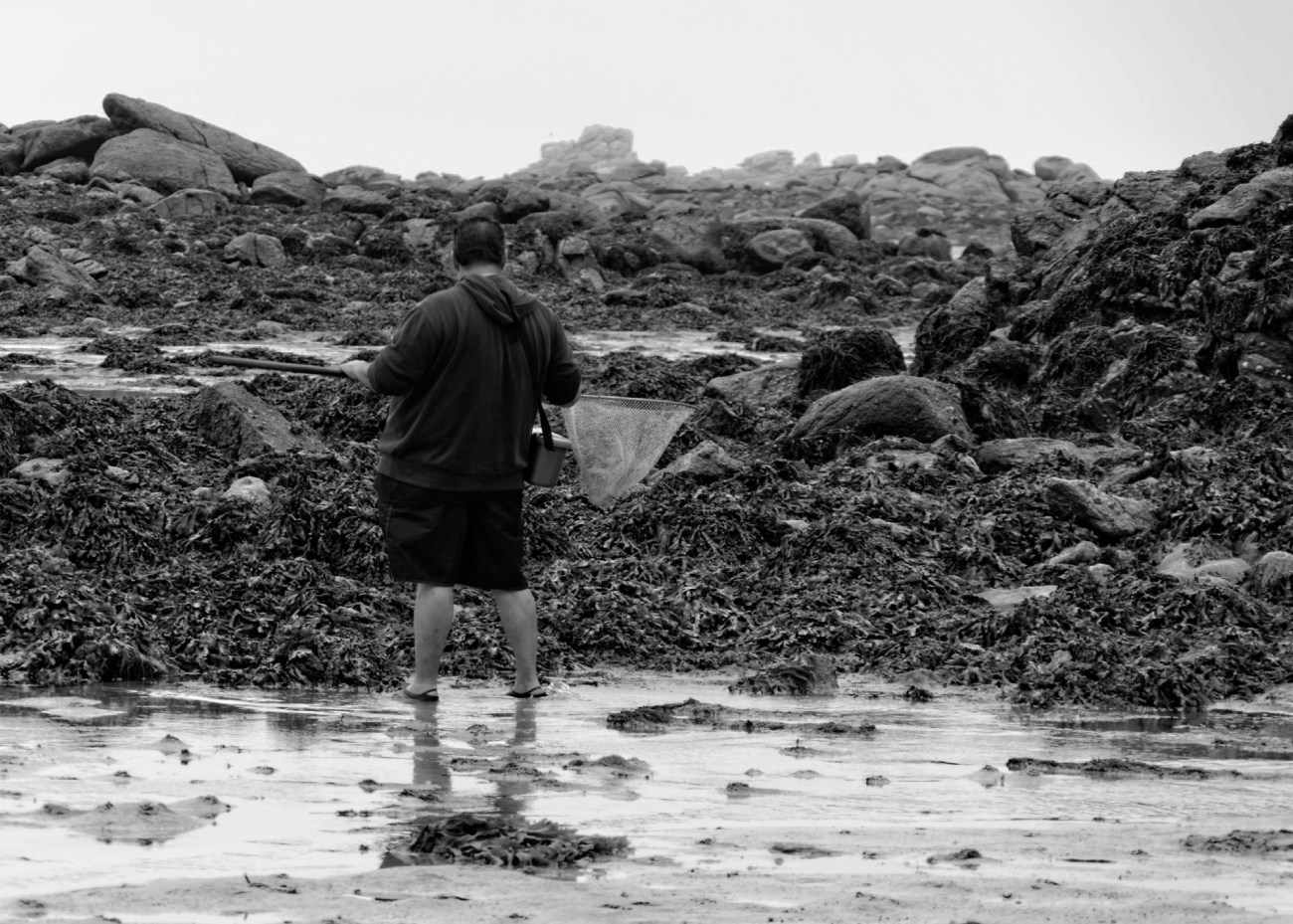 phare de l'île vierge, brume, Lilia, finistère, bretagne, noir et blanc, pêche à pied, pêche à la crevette