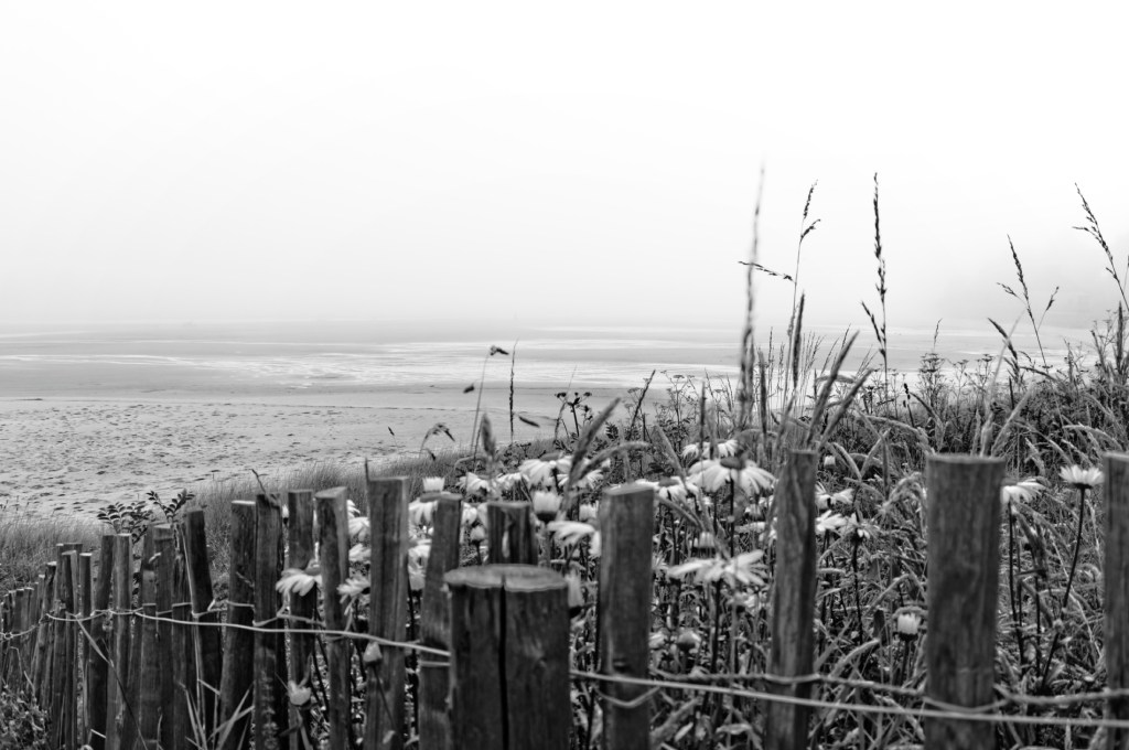  baie de Guissény, brume, finistère, bretagne 