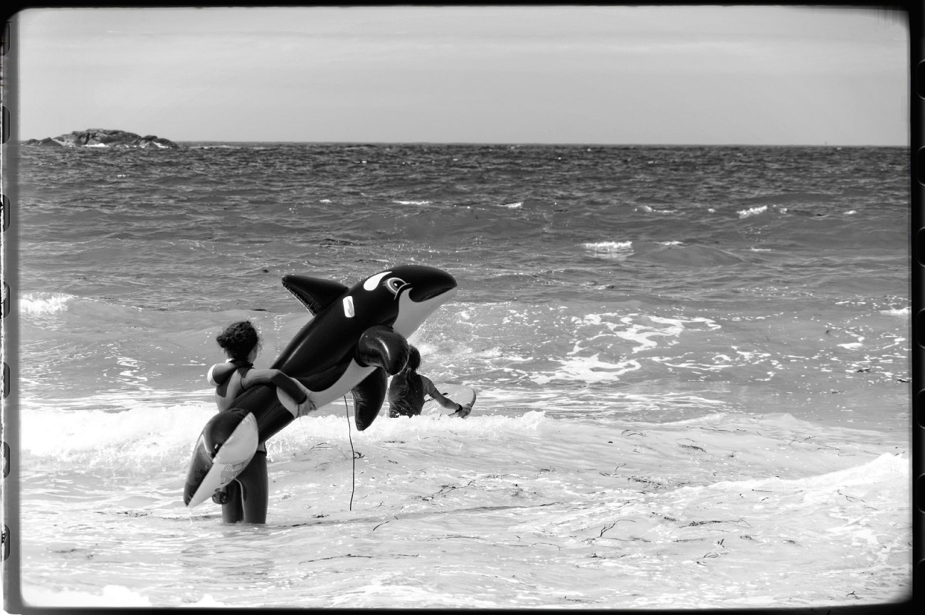 IMGP5879DxO-blog_DxOFP